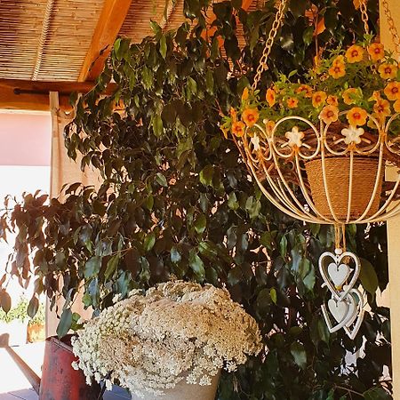 B&B La Vela Chia Zewnętrze zdjęcie