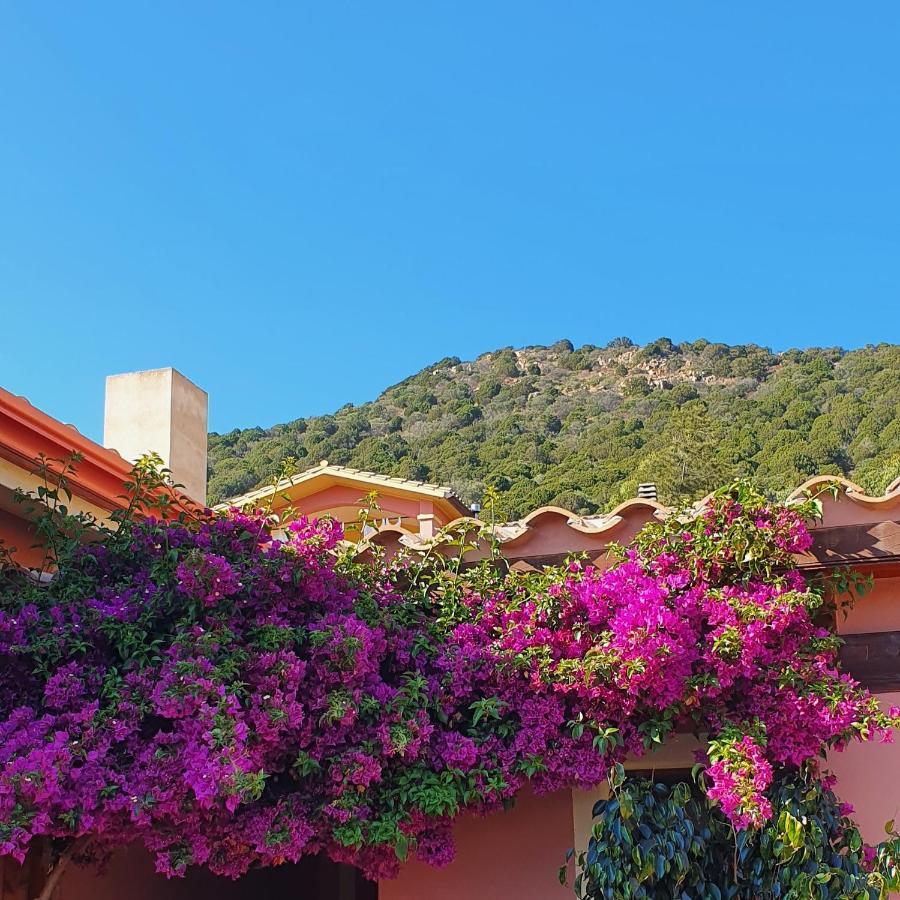 B&B La Vela Chia Zewnętrze zdjęcie