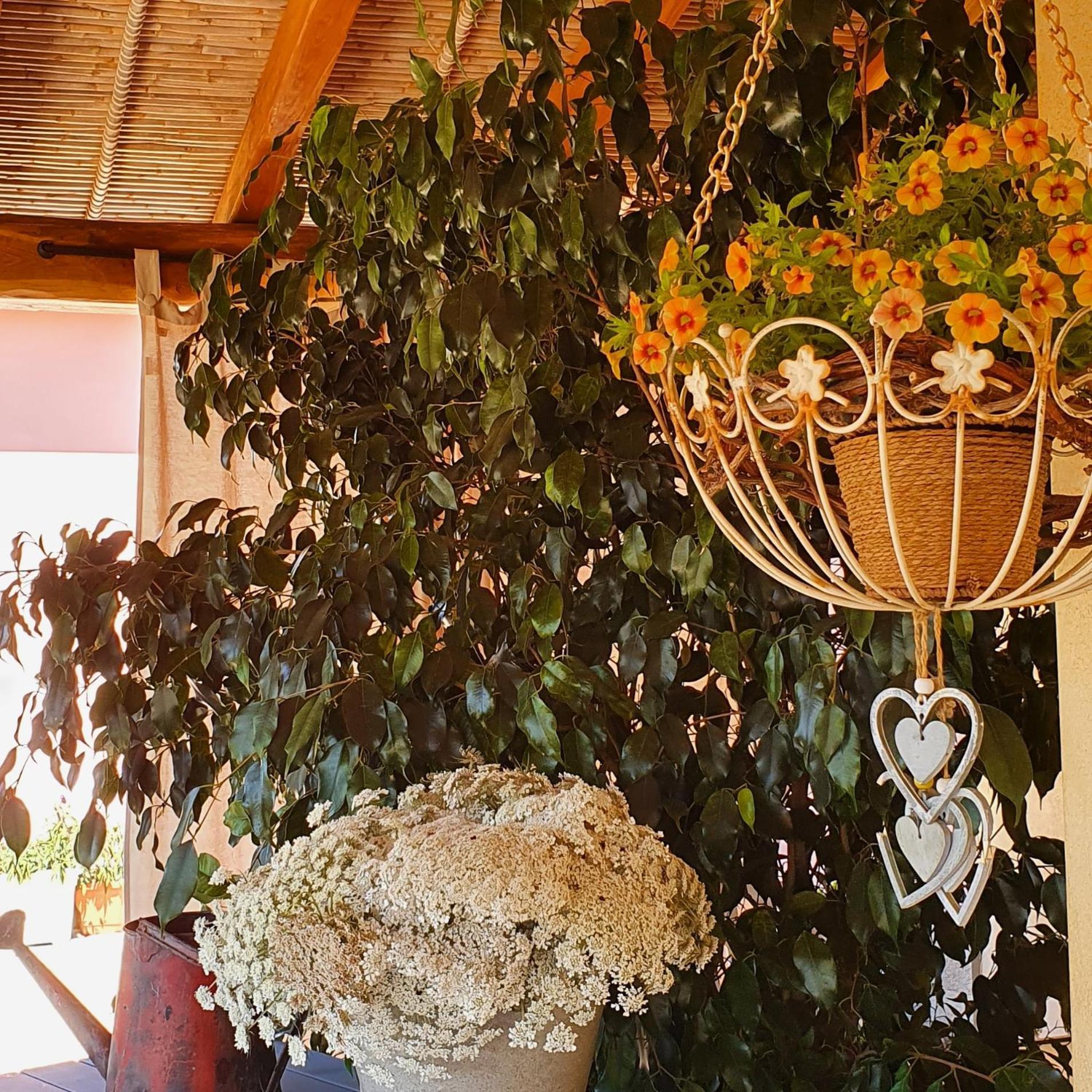B&B La Vela Chia Zewnętrze zdjęcie